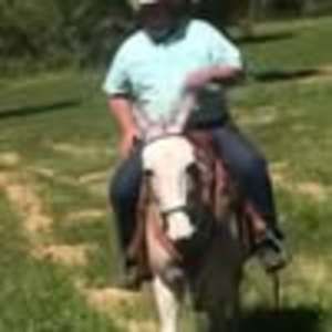 Meet your Posher, Bruce